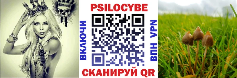 сколько стоит  Невинномысск  Псилоцибиновые грибы Psilocybine cubensis 
