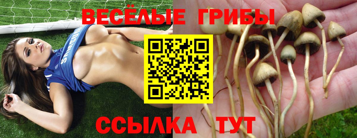 Галлюциногенные грибы мицелий Невинномысск