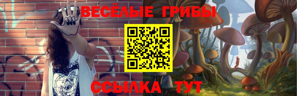 Конопля Невинномысск