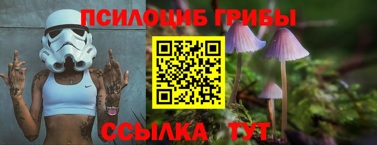 Невинномысск  Галлюциногенные грибы Psilocybine cubensis  Вход с VPN 